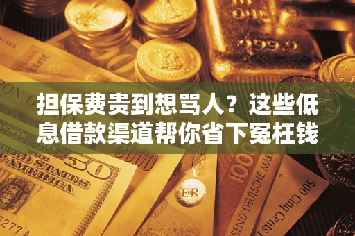 武汉担保费贵到想骂人？这些低息借款渠道帮你省下冤枉钱