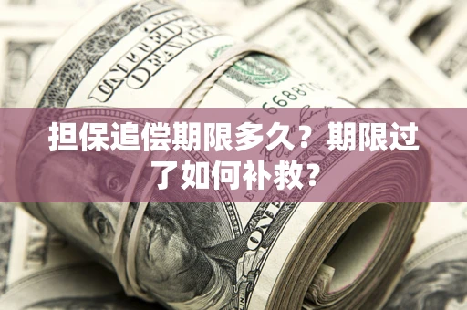 武汉担保追偿期限多久？期限过了如何补救？