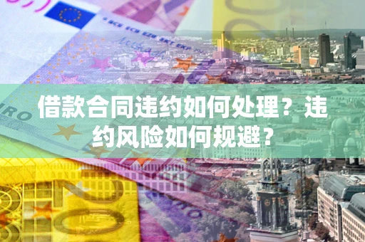 武汉借款合同违约如何处理？违约风险如何规避？