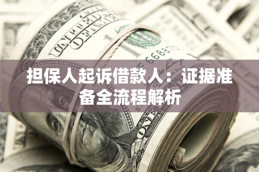 武汉担保人起诉借款人：证据准备全流程解析