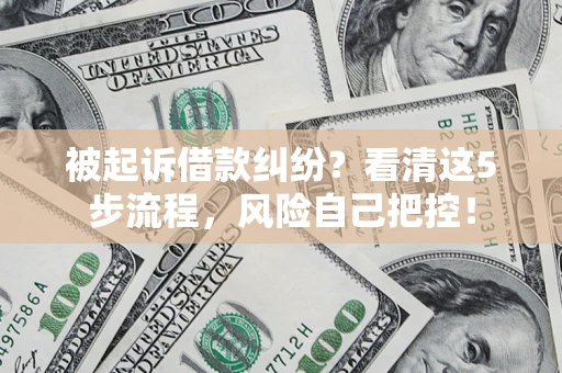 武汉被起诉借款纠纷？看清这5步流程，风险自己把控！