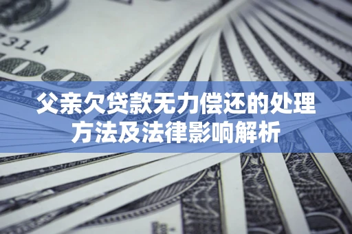 武汉父亲欠贷款无力偿还的处理方法及法律影响解析